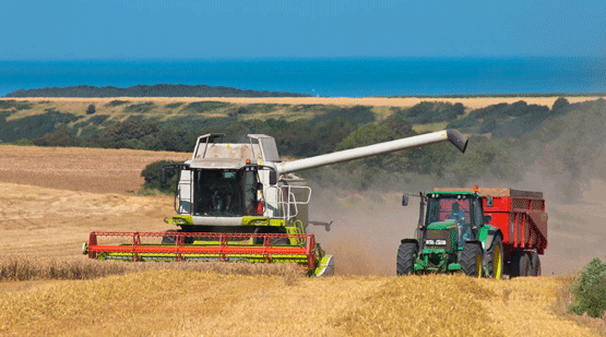 Assurance agricole